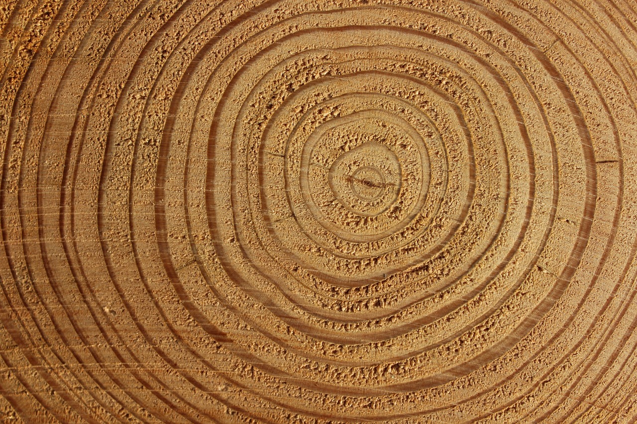 Image - wood tree bark tree bark log