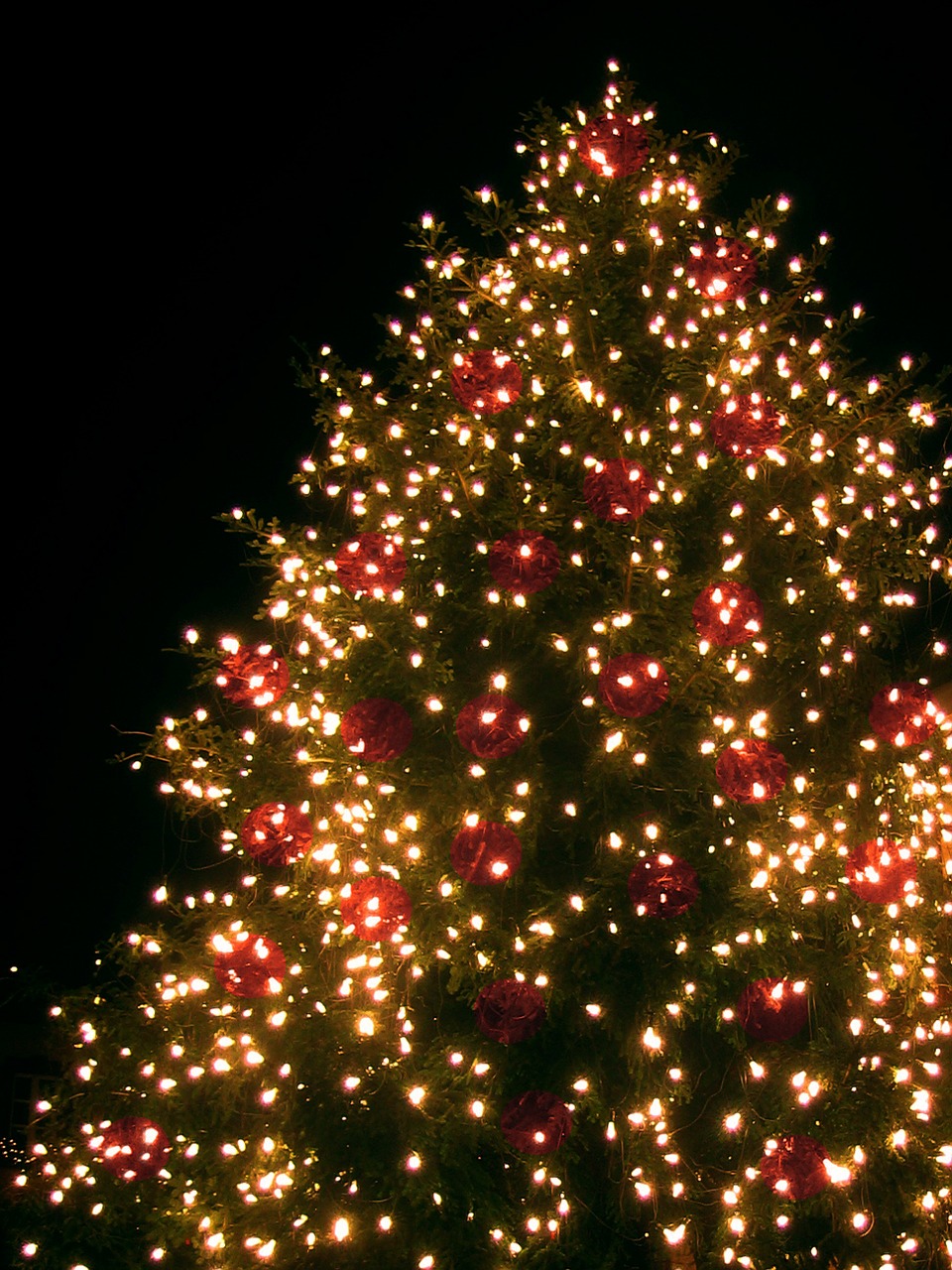 Image - christmas christmas tree