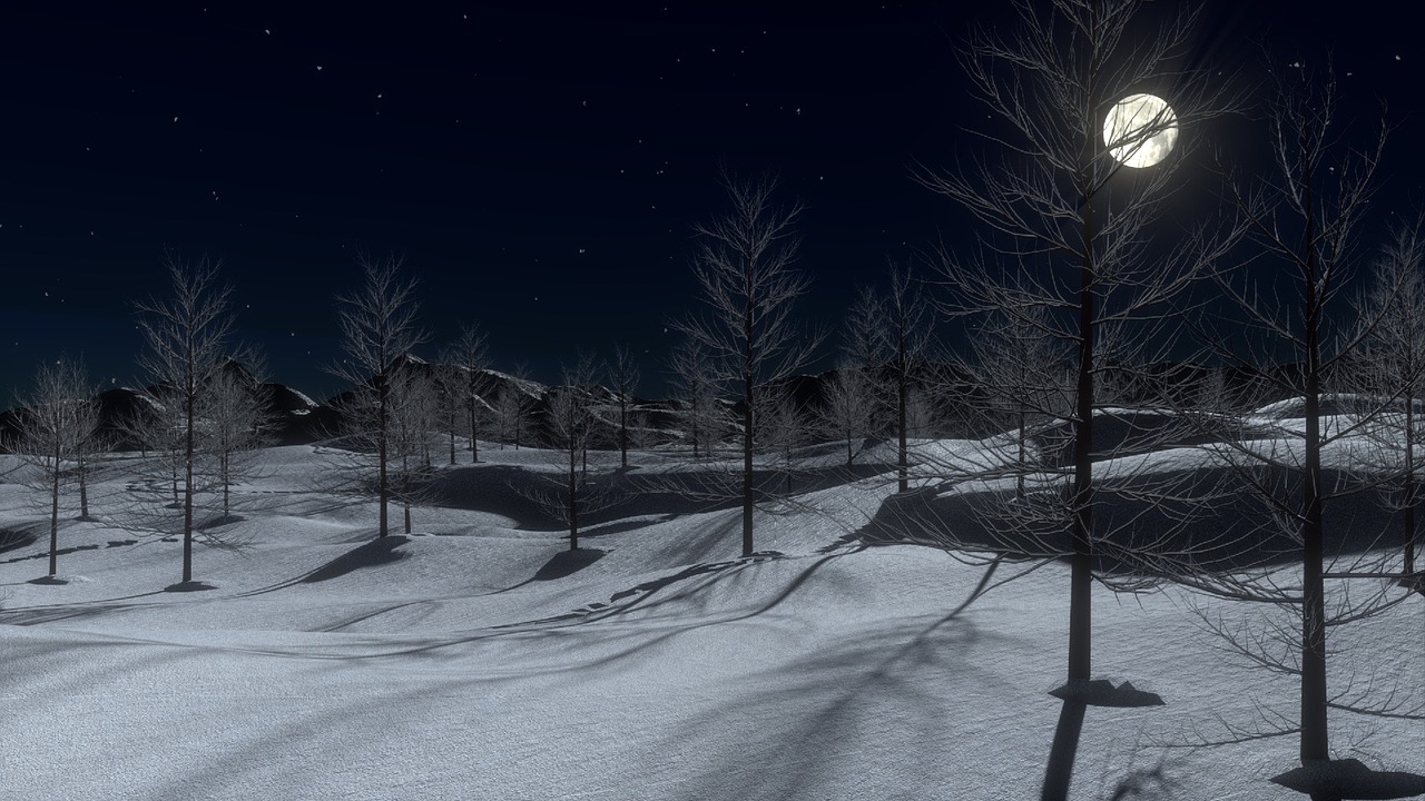 Image - snow night moon cold winter trees