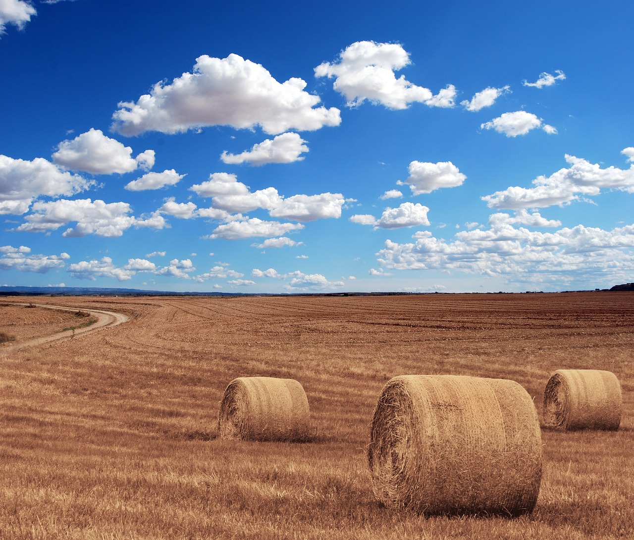 Image - field agriculture harvest village