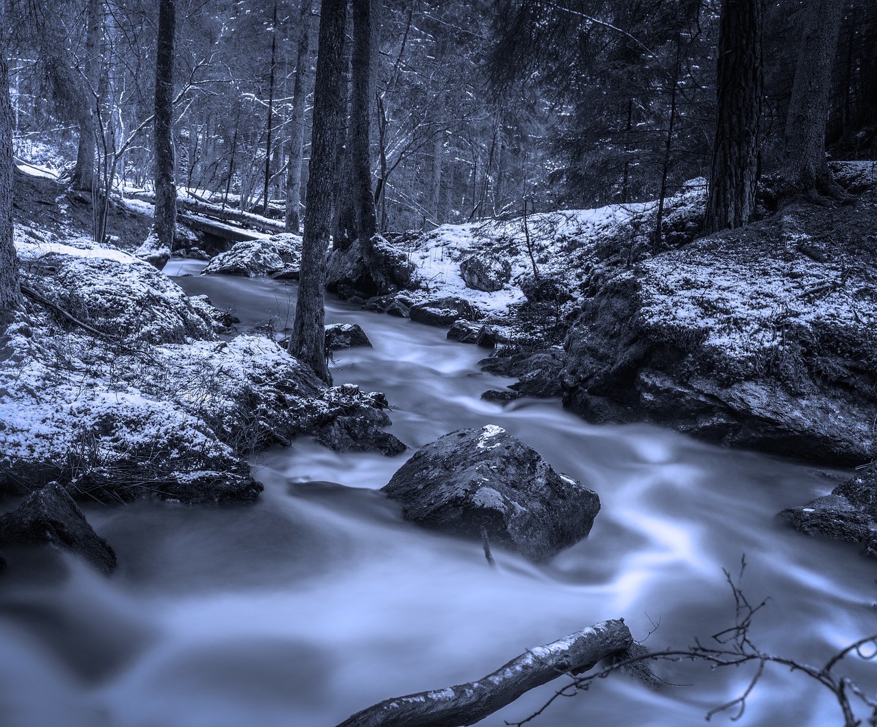 Image - forest brook winter swedish nature