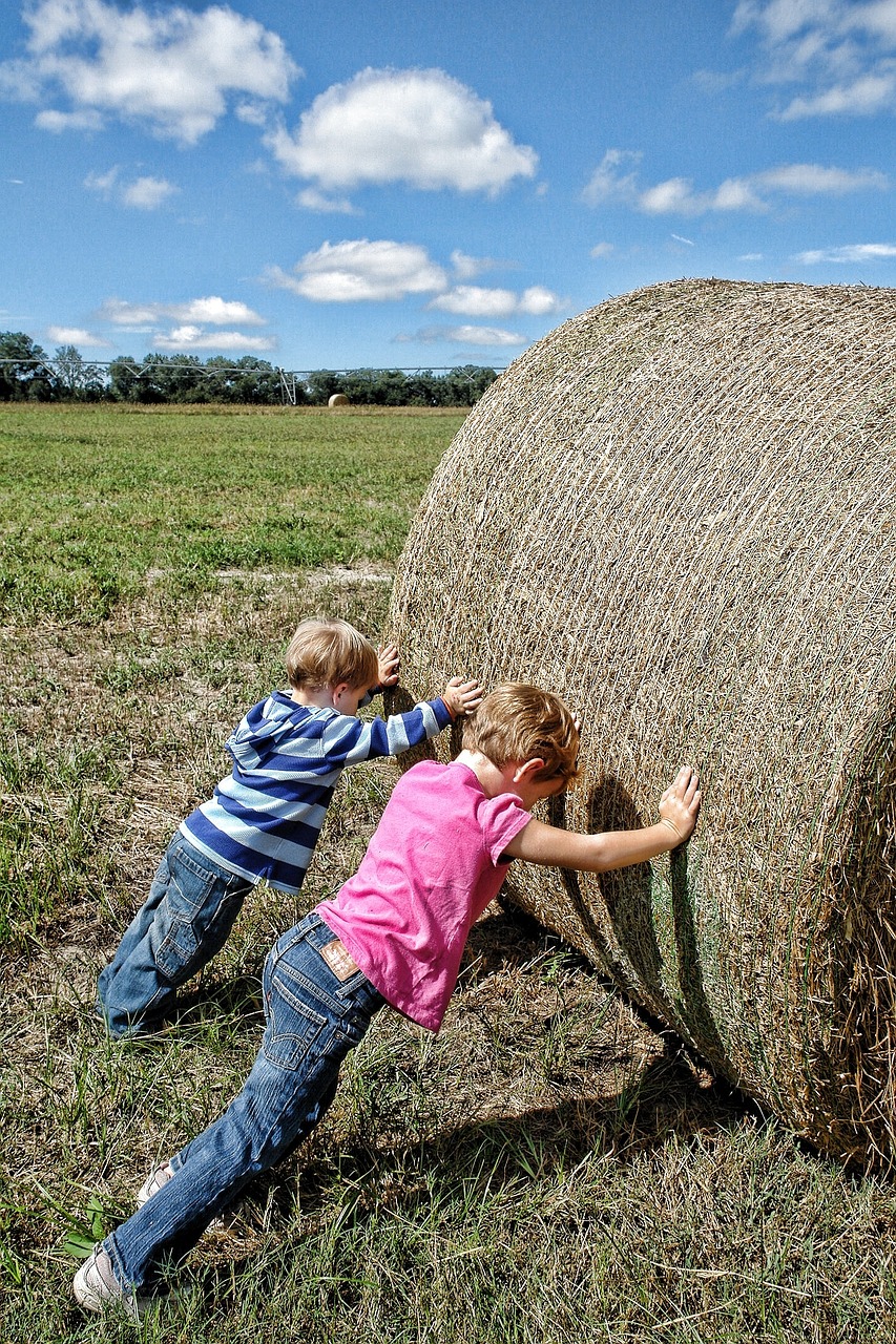 Image - teamwork farm workers co operation