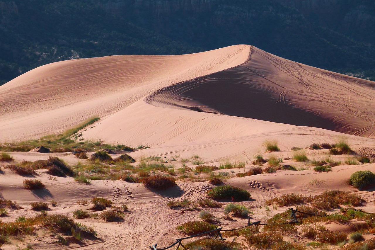 Image - pink sand dunes utah usa desert