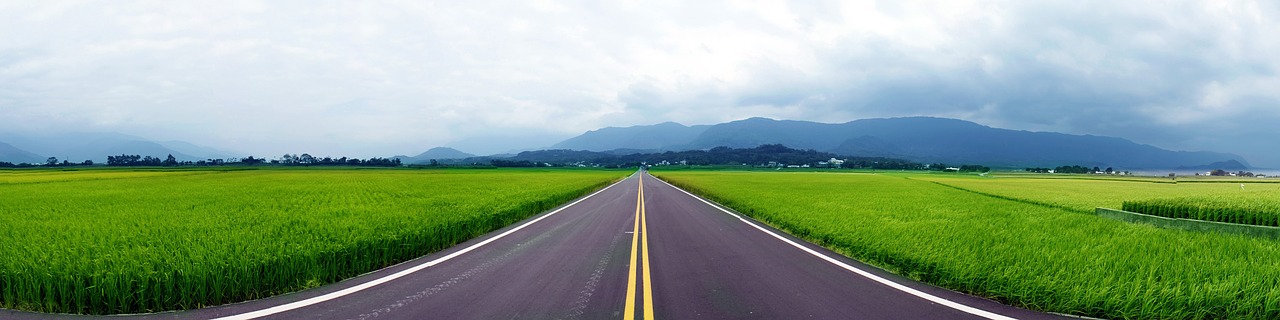 Image - green road taiwan landscape