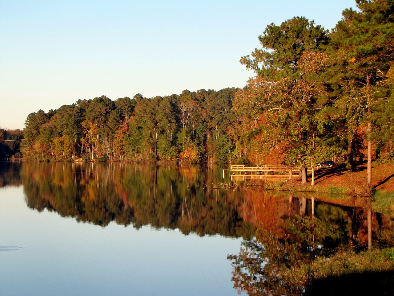 Image - lake water tree landscape scenery