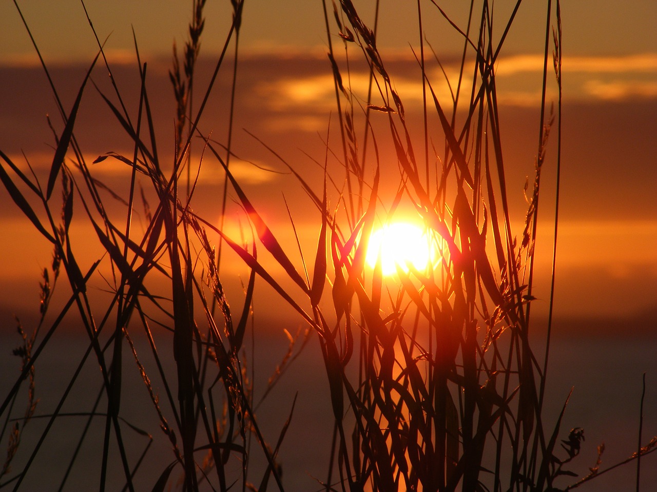 Image - sunset scenic sky sun summer