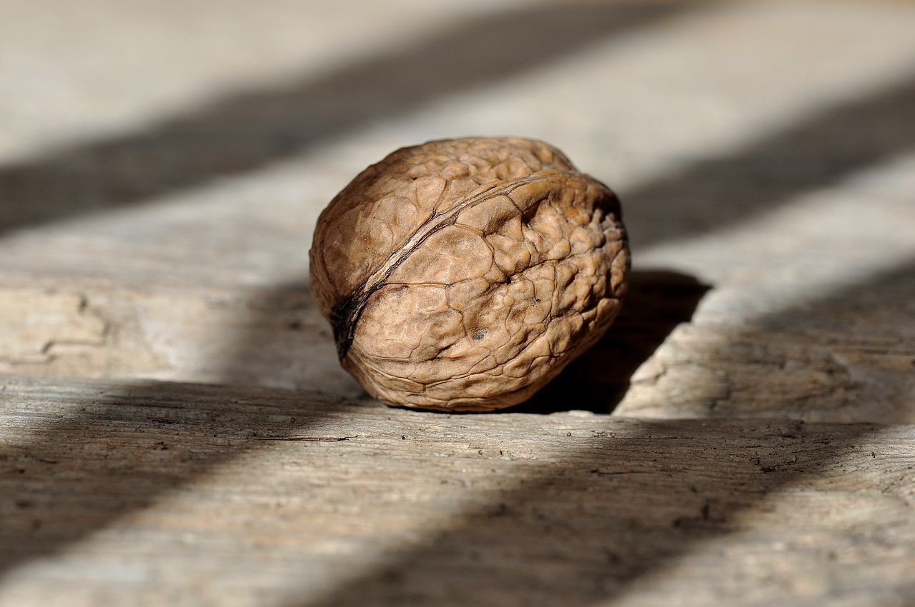 Image - walnut nut fruit bowl healthy