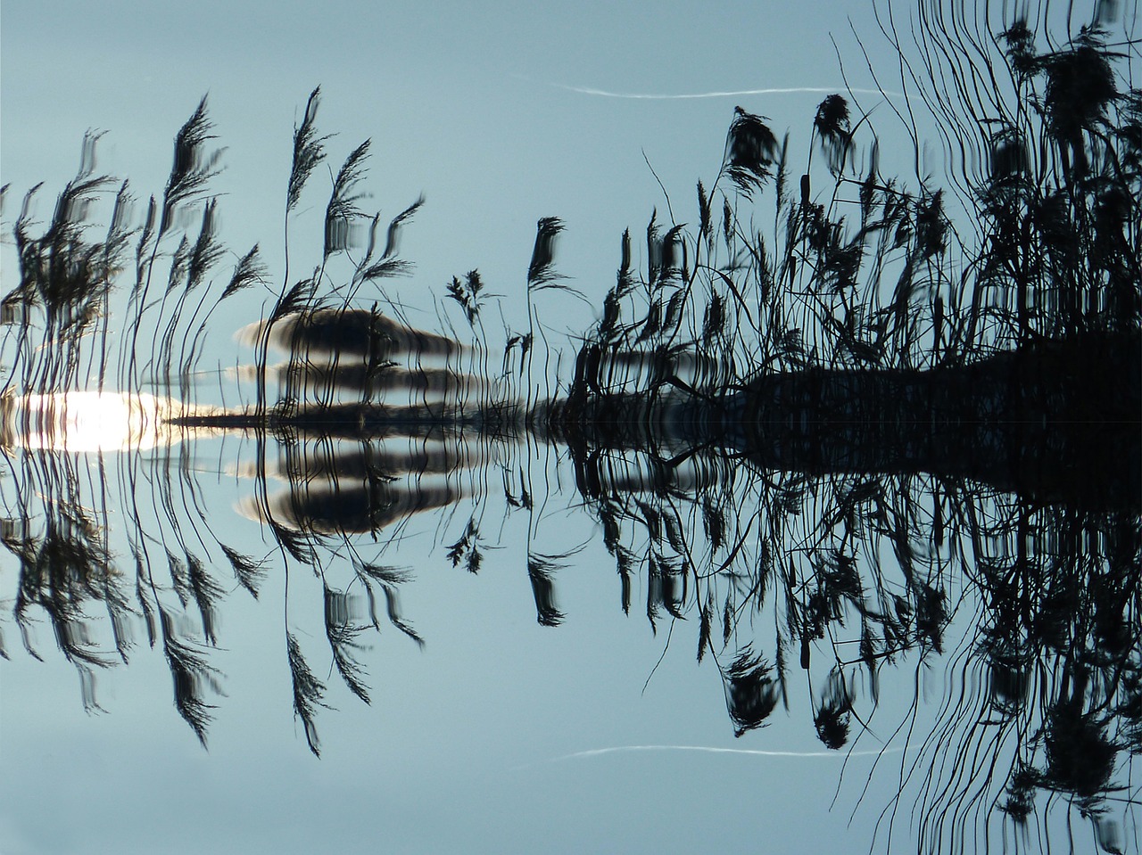 Image - reed water mirroring lake bank