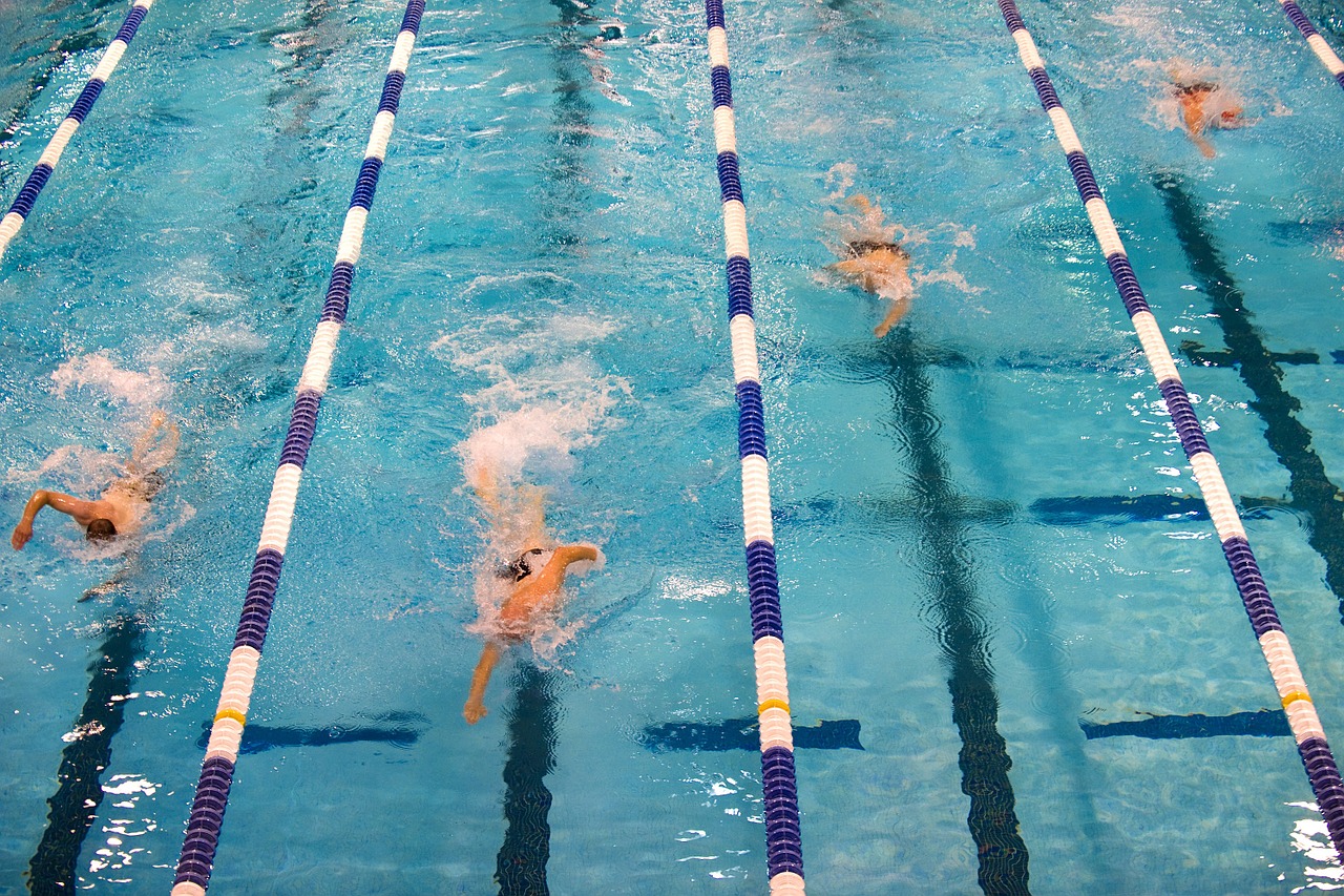 Image - swimming competition swimmers pool