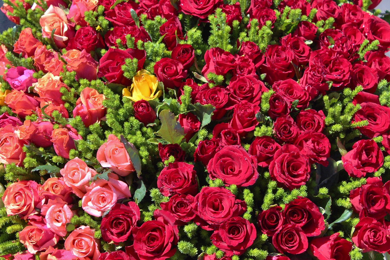 Image - flowers rose bouquet of roses red