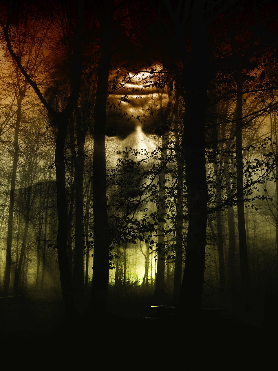 Image - forest face fog horror disgust