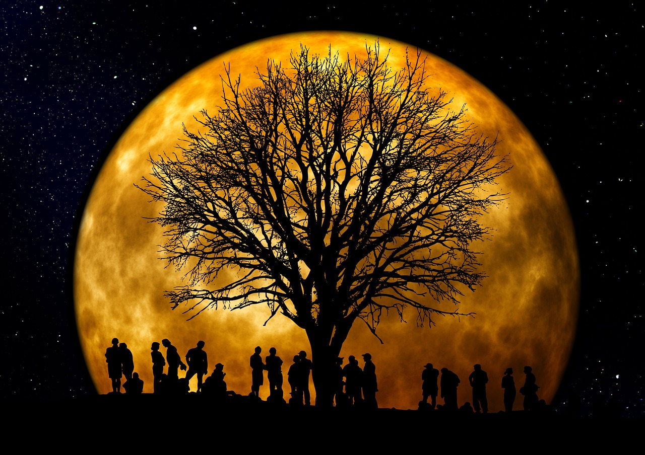 Image - tree kahl moon human group