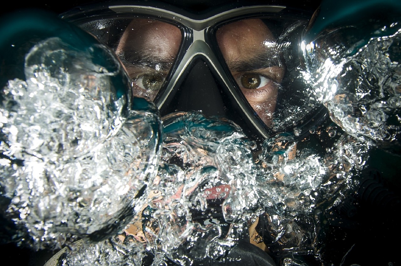 Image - diver scuba underwater ocean sea