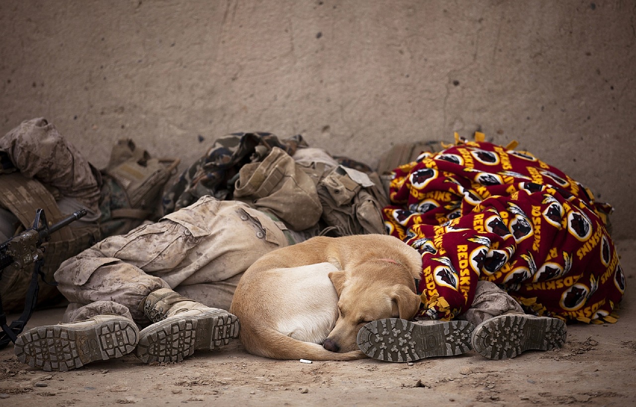 Image - military soldiers sleeping rest