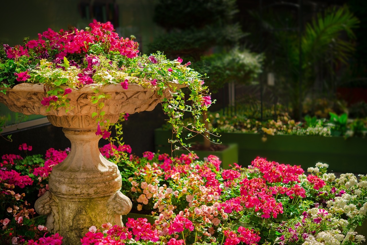 Image - nature garden flower plant blossom