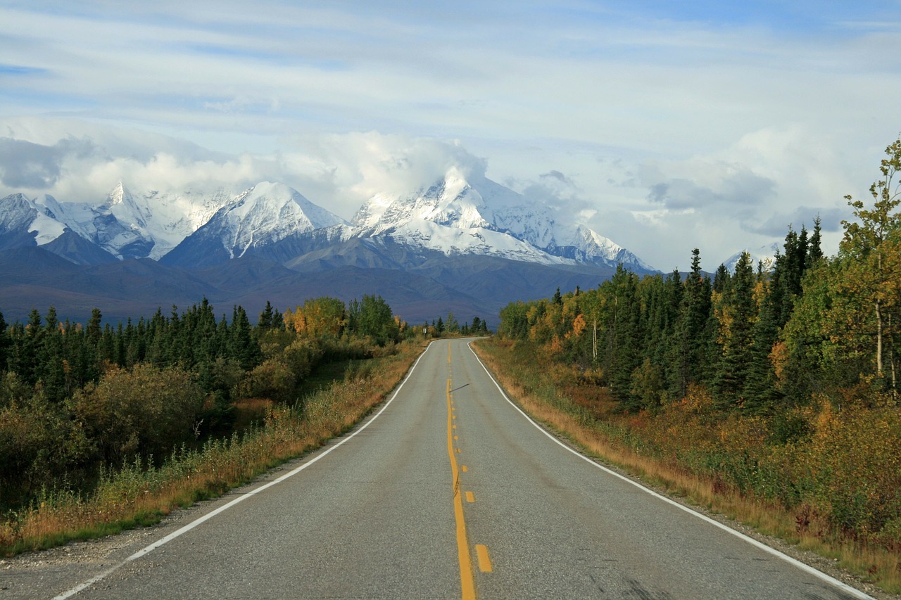 Image - alaska wilderness mountain forest