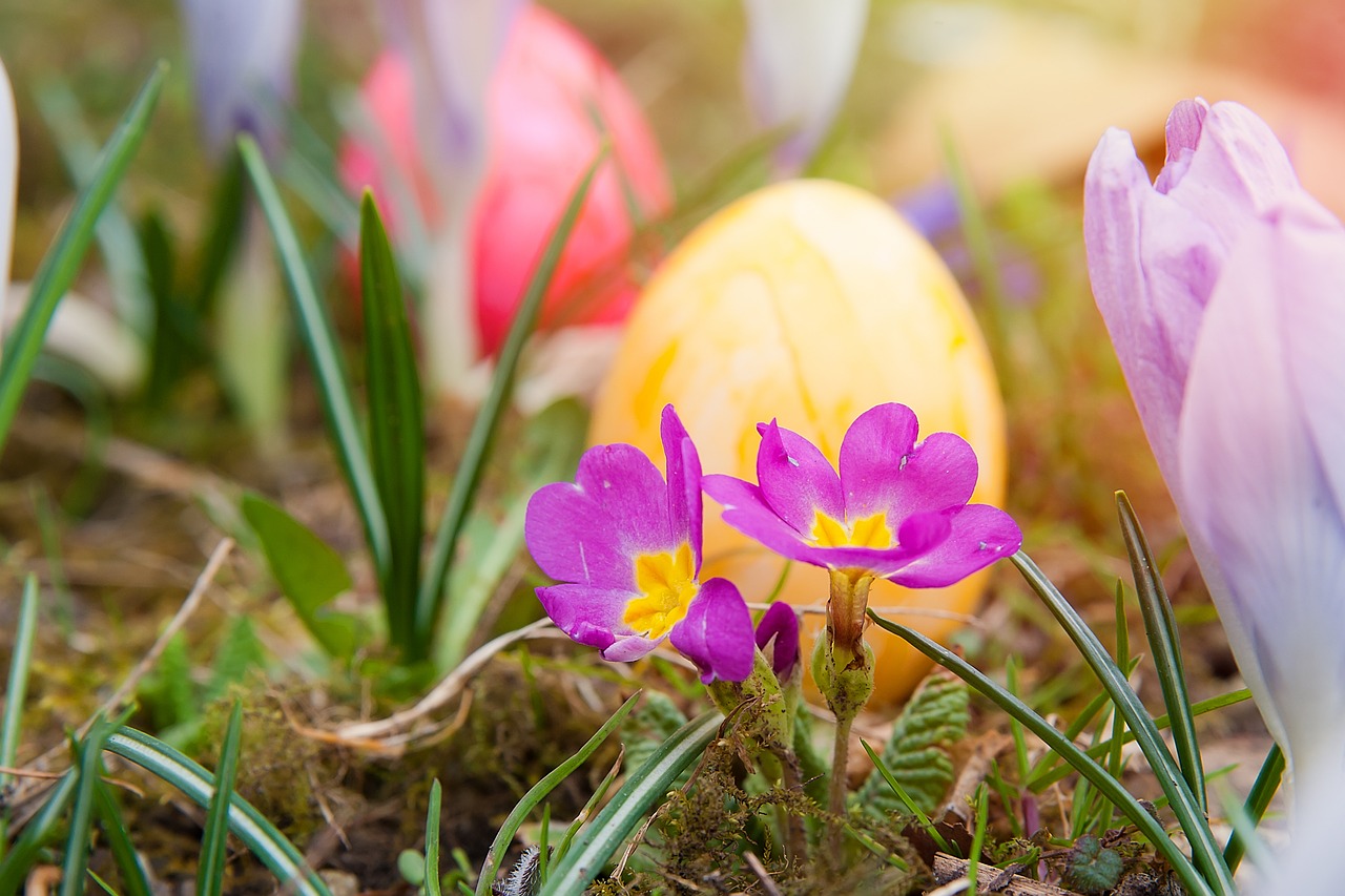 Image - easter easter eggs spring colorful