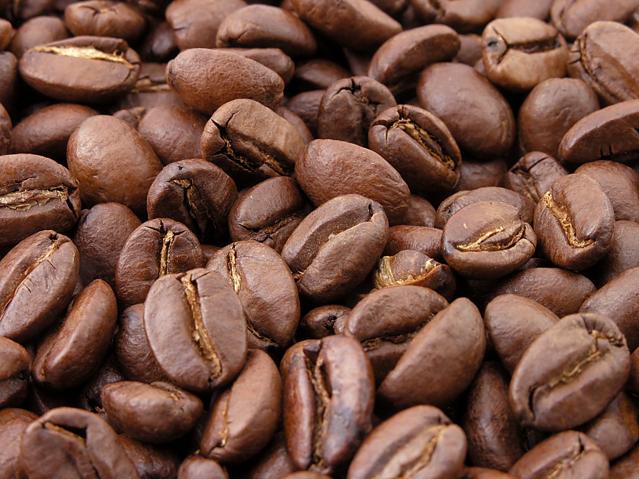 Image - coffee coffee beans roasted seeds