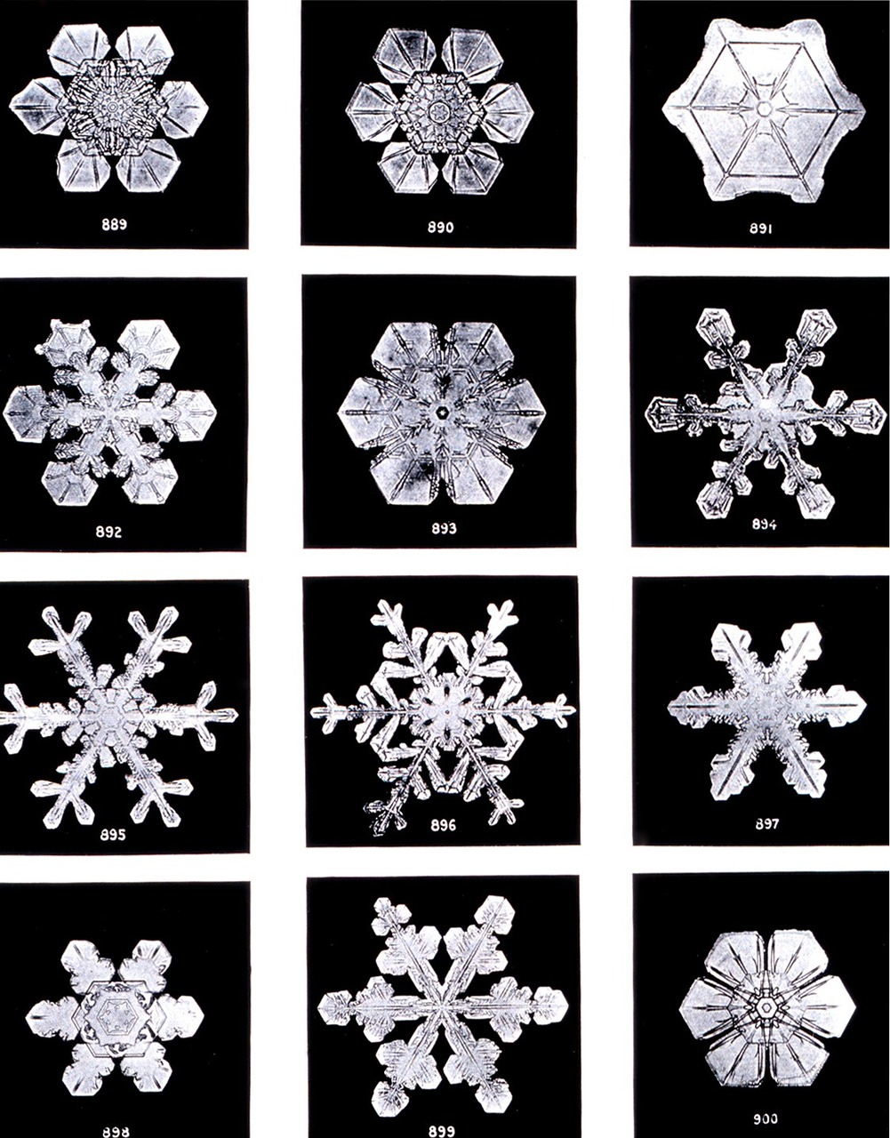 Image - crystals ice crystal snow ice