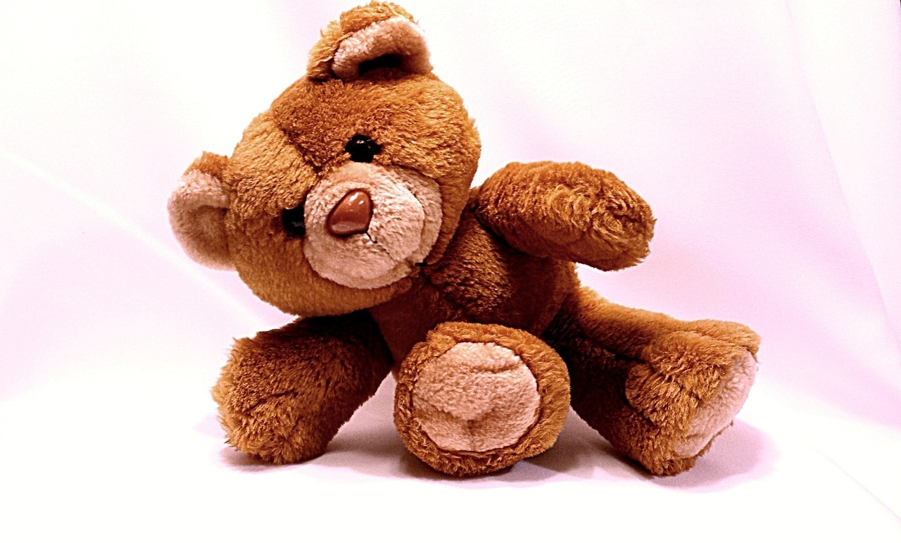 Image - bear teddy toy cute soft brown