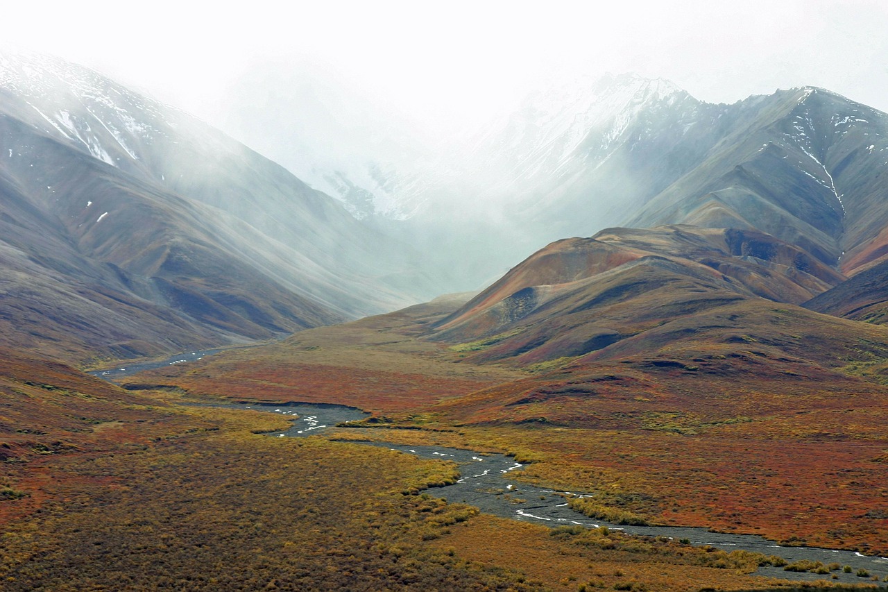 Image - alaska mountains tundra stream