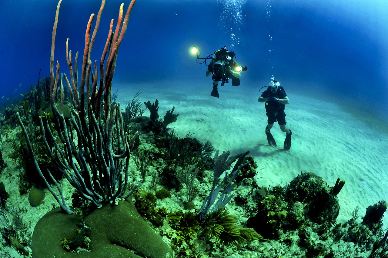 Image - divers scuba reef underwater sea