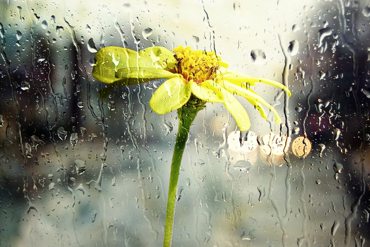 Image - rain wet window glass yellow