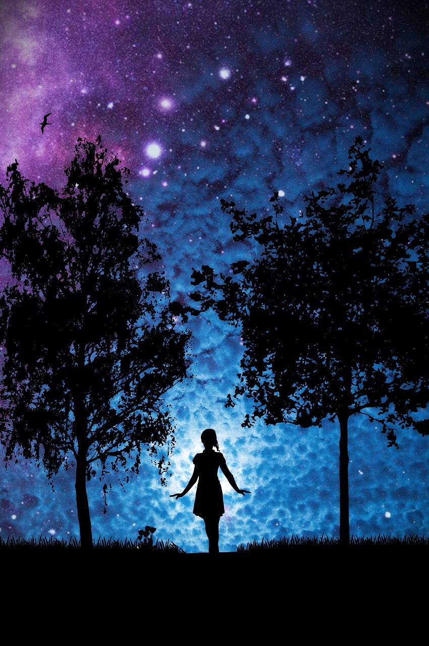 Image - star woman trees silhouette girl