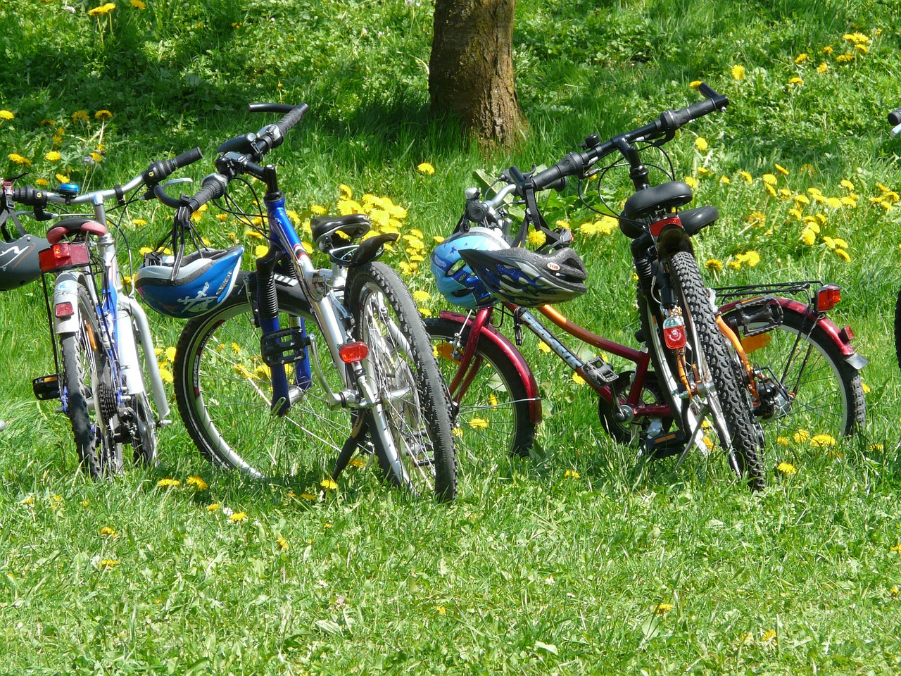 Image - bicycles bike family outing