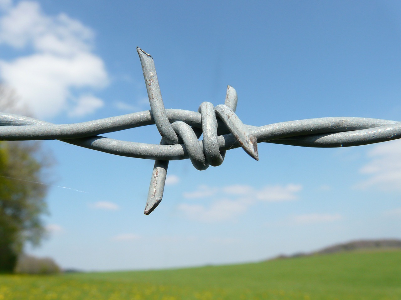 Image - barbed wire fence barbed wire fence