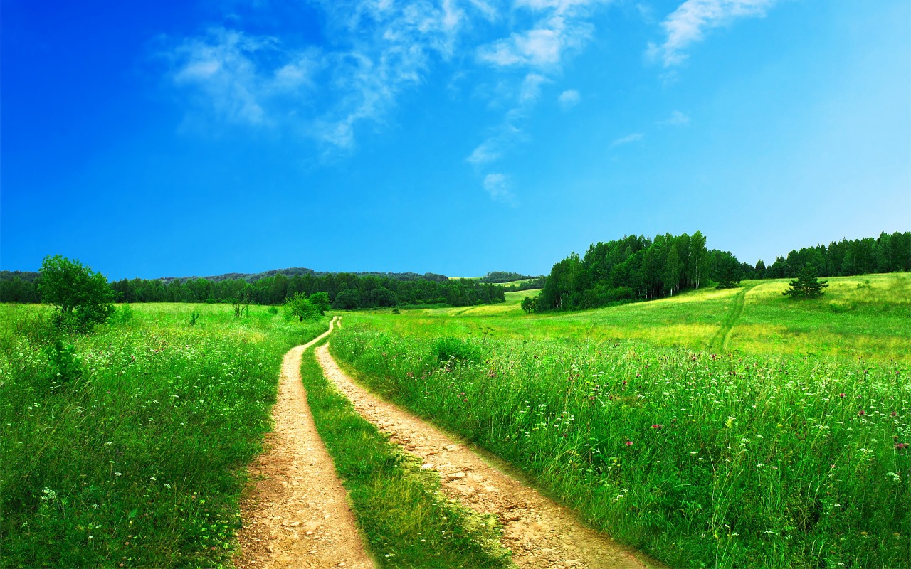 Image - footpath pathway rural green road