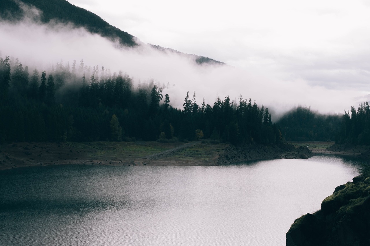 Image - mountains fog foggy trees scenery
