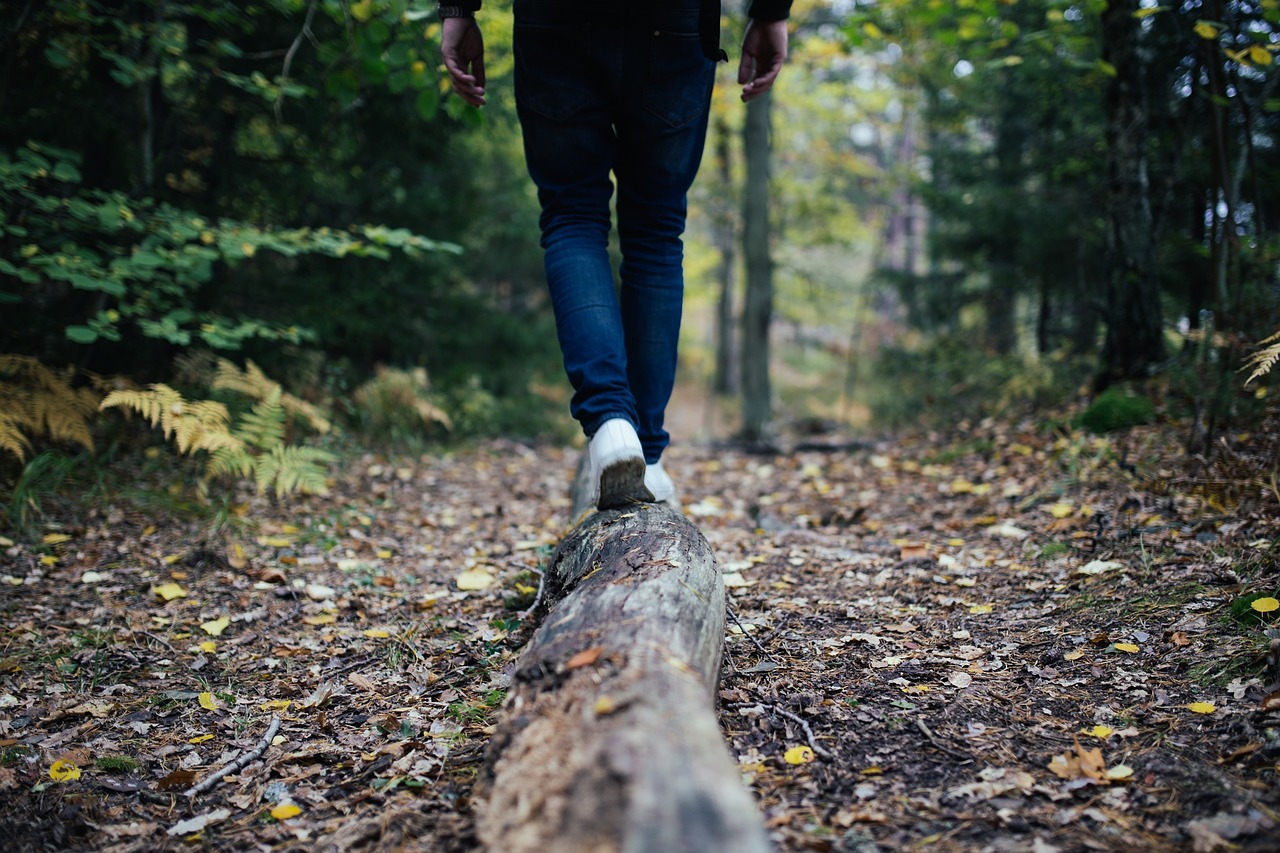 Image - wood log walking hiking trekking