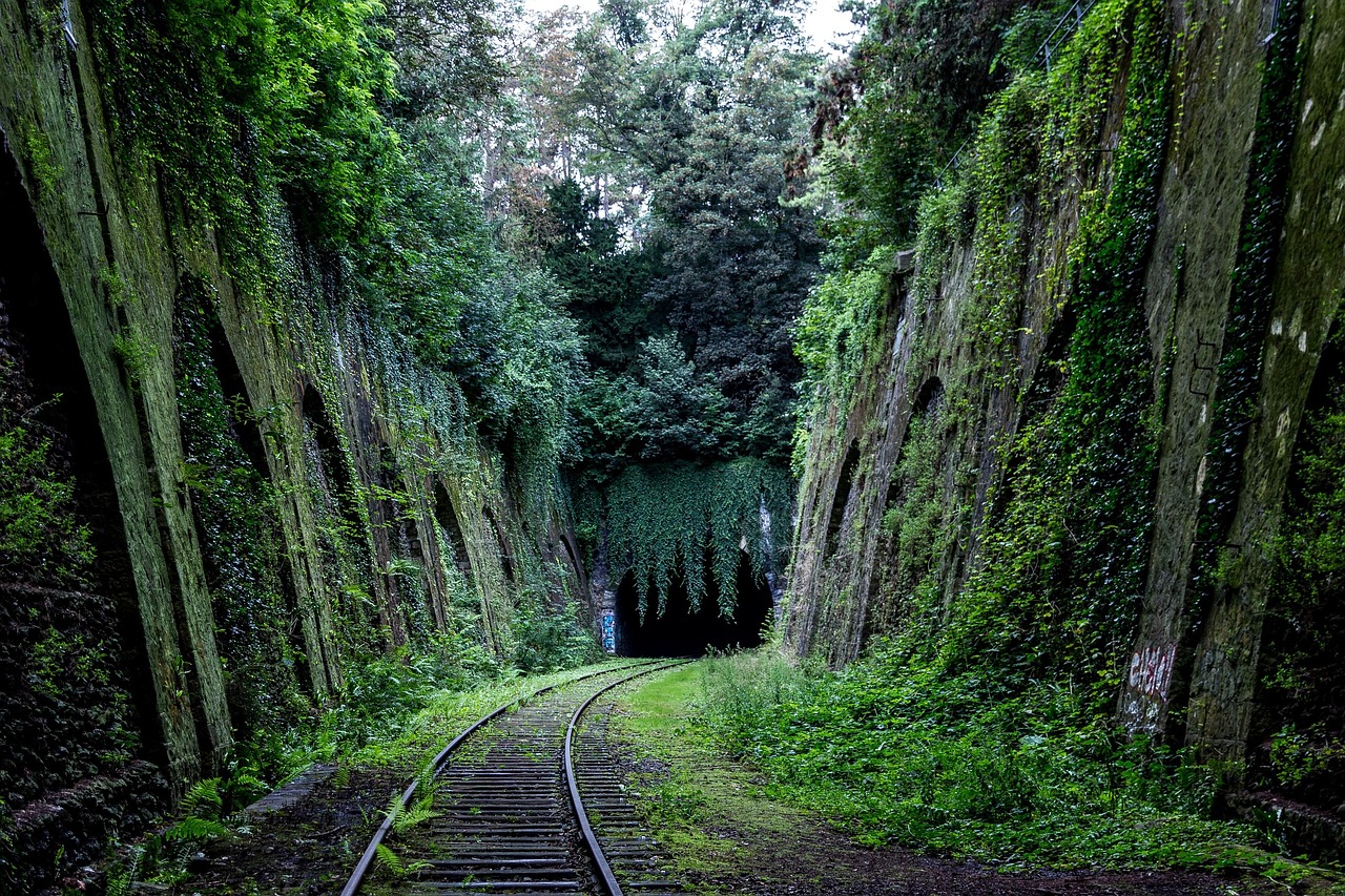 Image - railroad railway train tracks