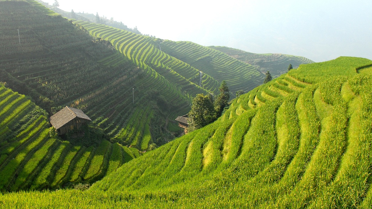 Image - china rice terraces landscape rice