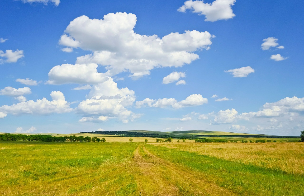 Image - summer field sky clouds outdoors