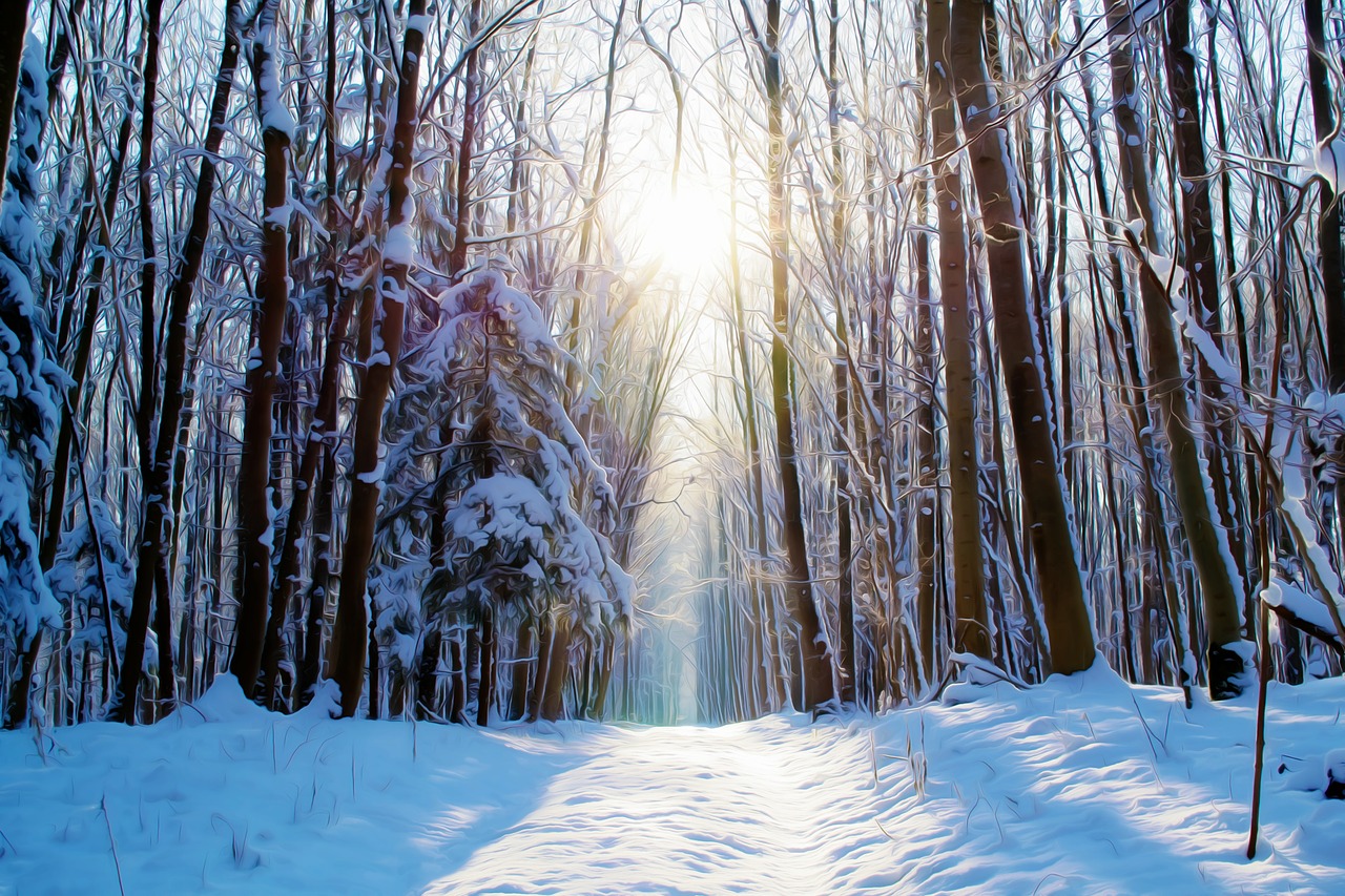 Image - painted dream forest snow winter