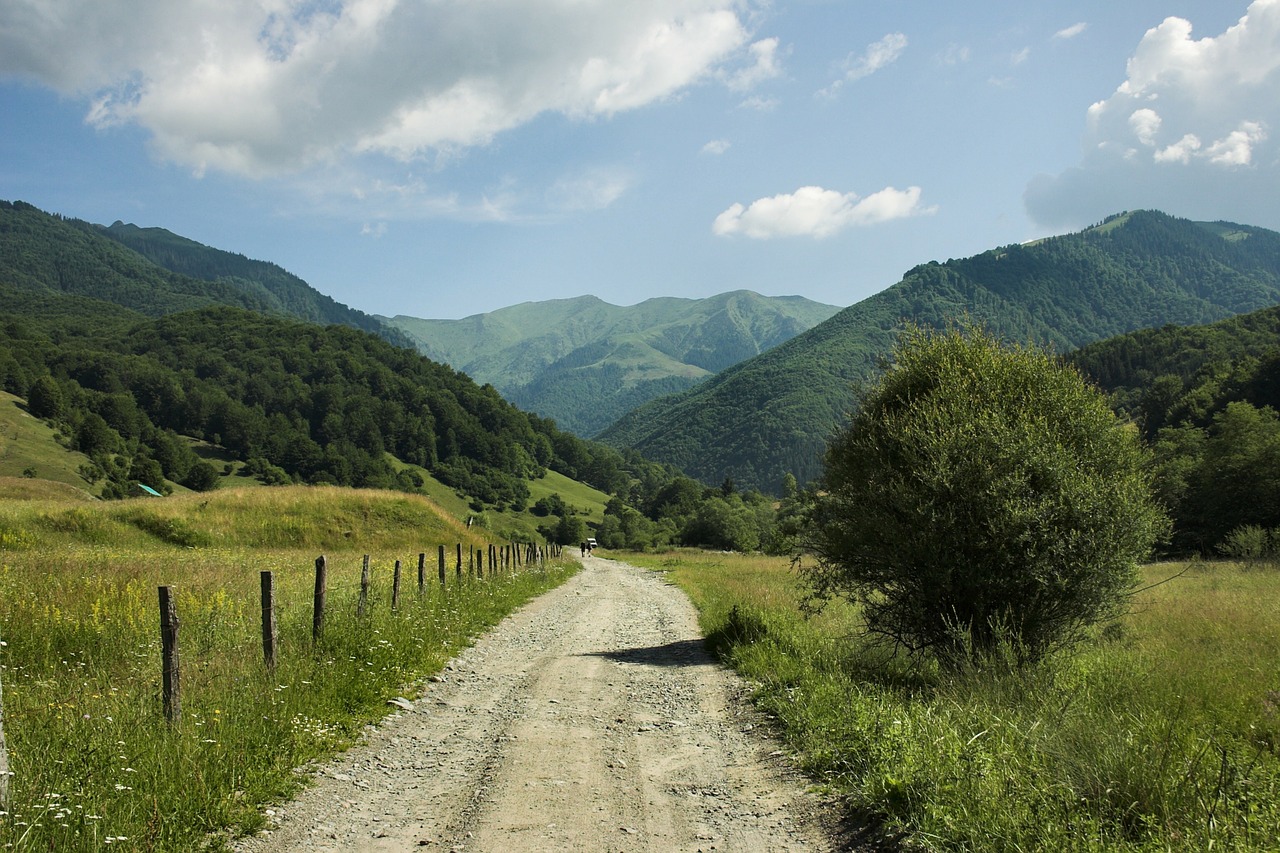 Image - romania landscape mountains forest