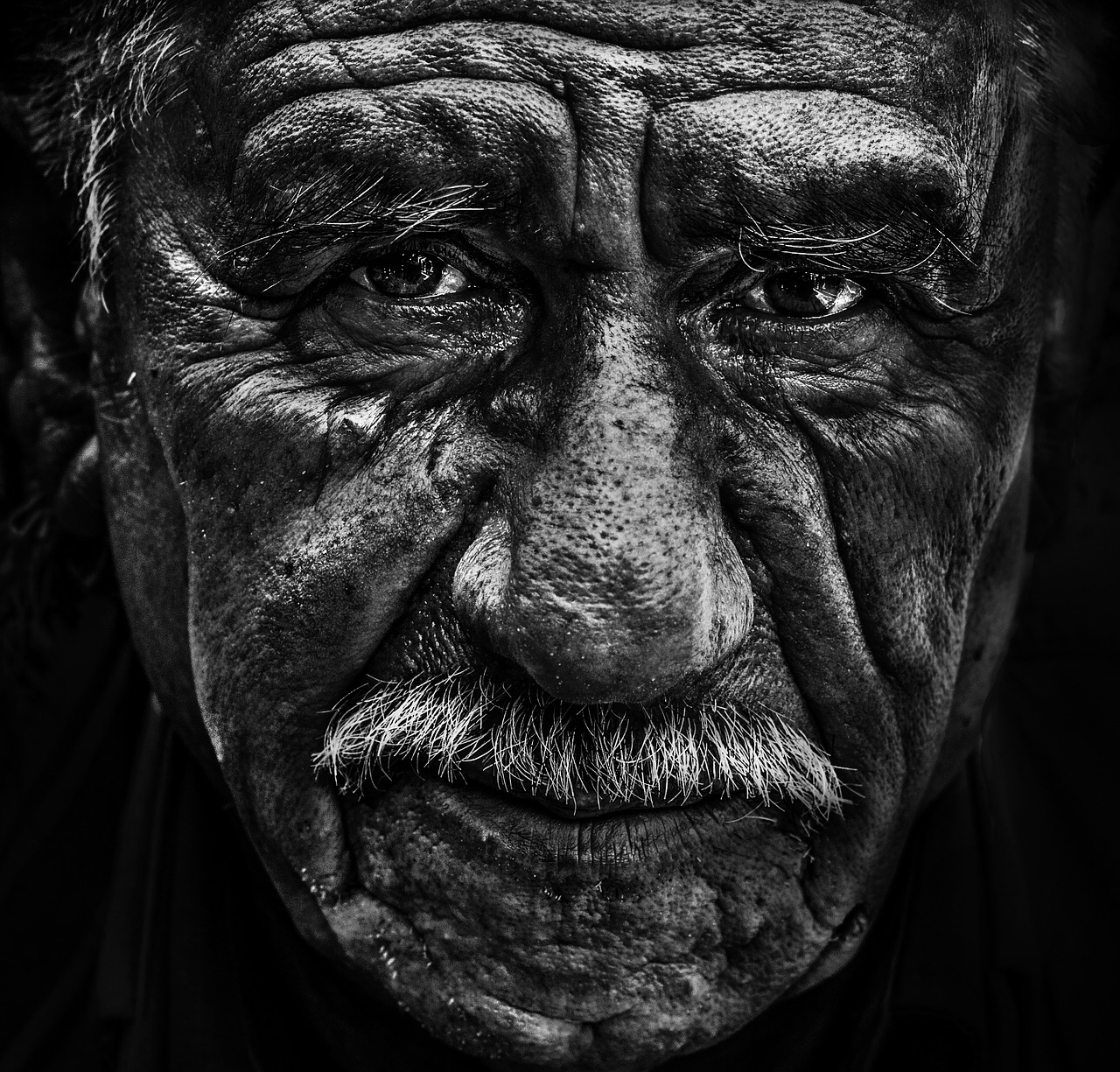 Image - old man portrait face