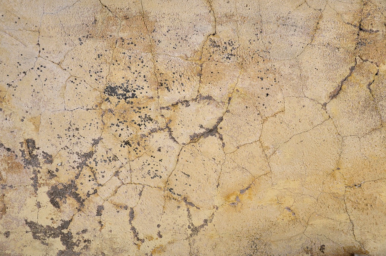 Image - wall background wallpaper