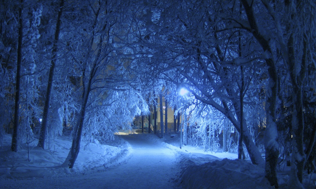 Image - winter night blue shade trees