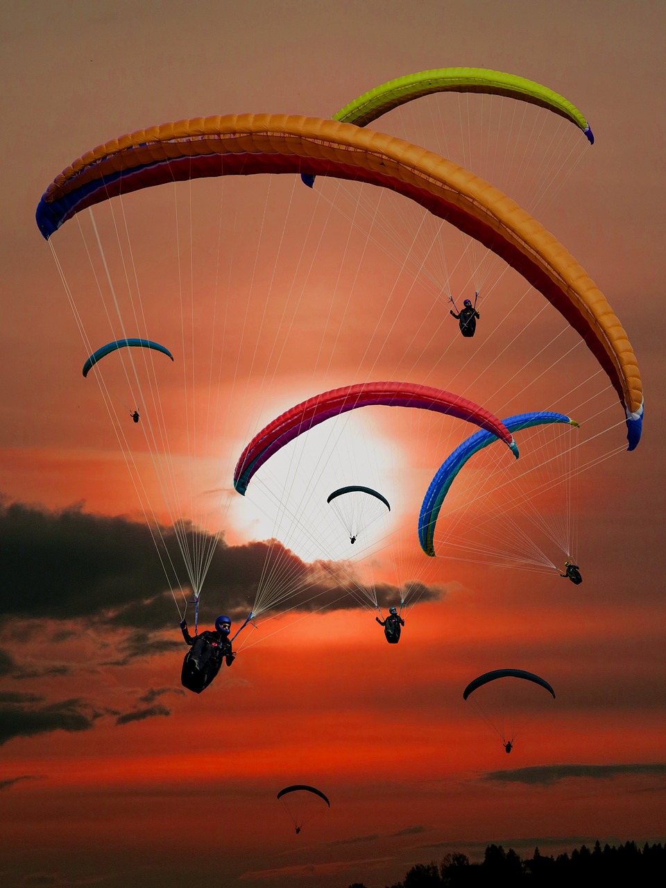 Image - paraglider paragliding fly sun