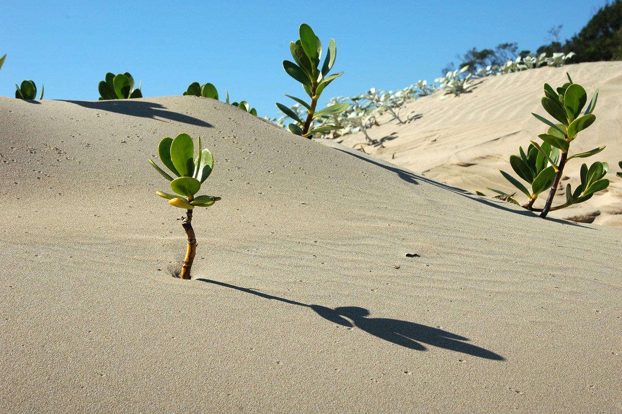 Image - africa landscape desert scenery