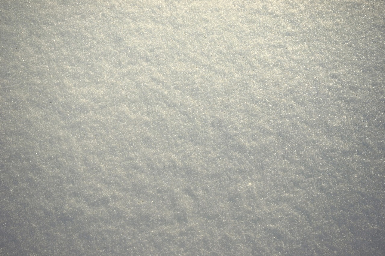 Image - snow plane lighting invoice