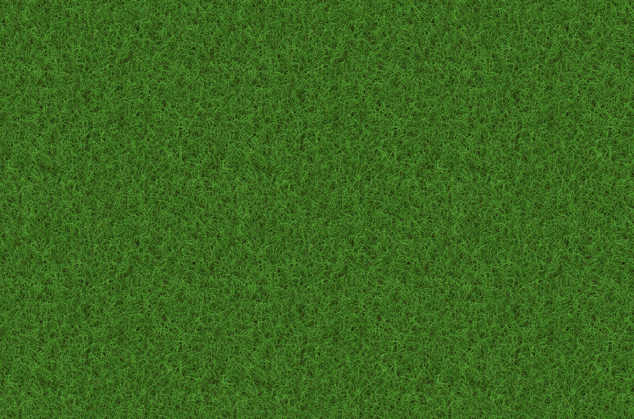 Image - rush grass texture background