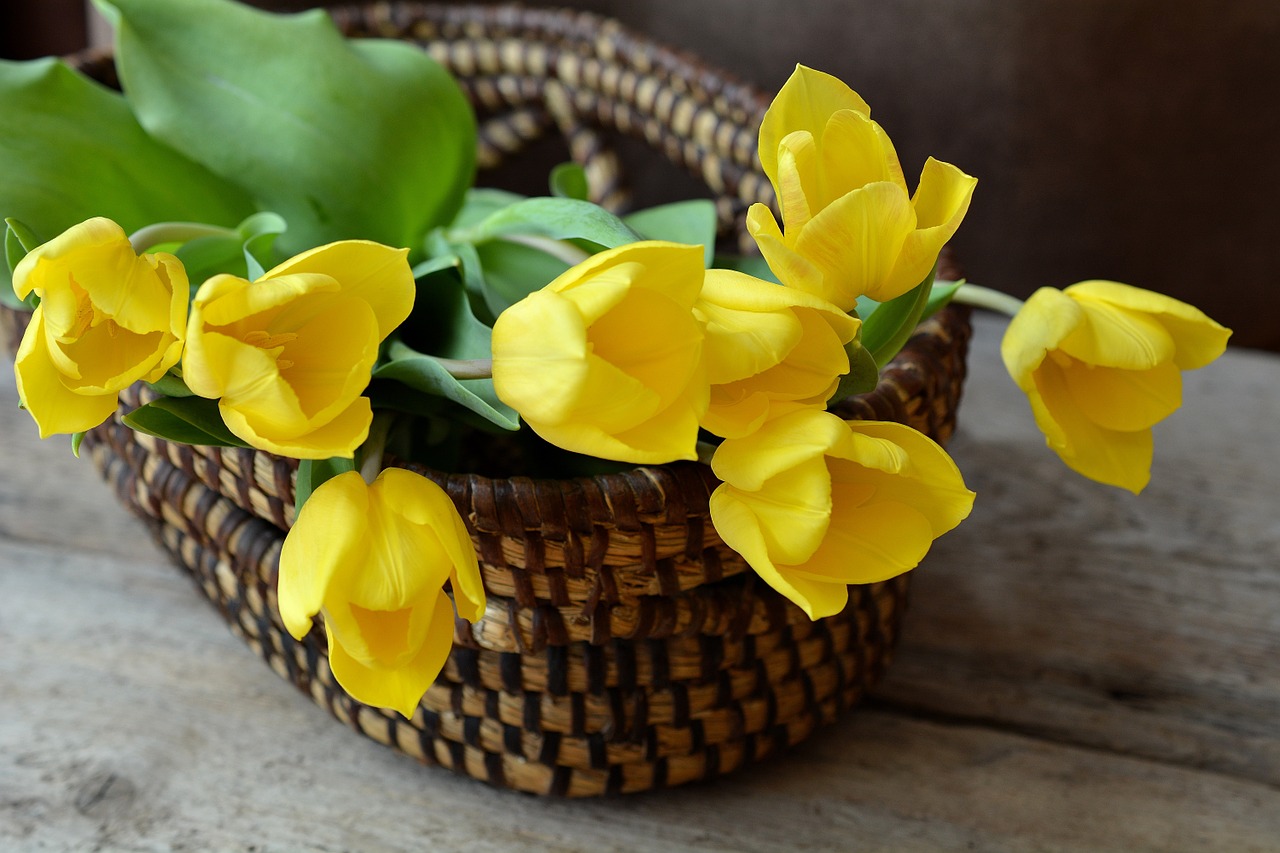 Image - tulips cut flowers flower basket