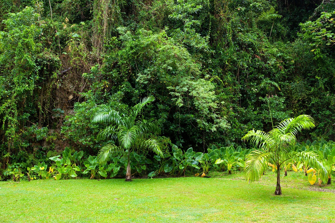Image - background dense environment flora