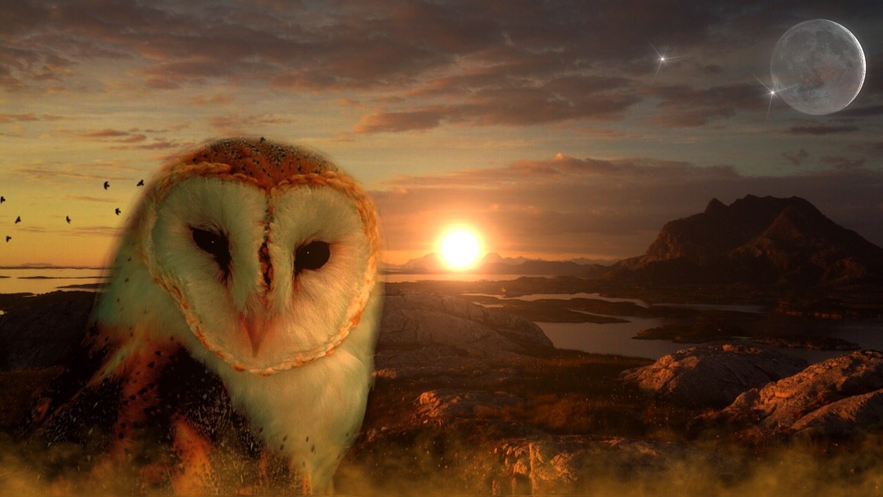 Image - owl sun moon star mountains lakes