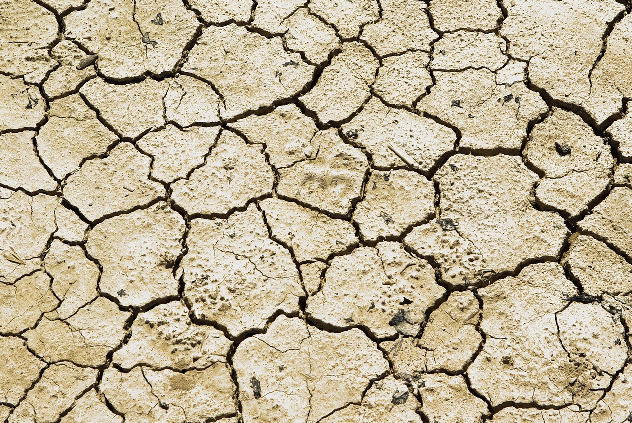 Image - drought earth desert aridity
