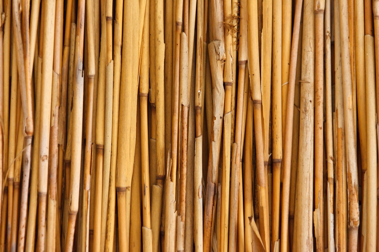 Image - abstract asian background bamboo